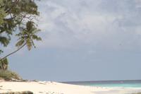 Rundgang auf Aride Island