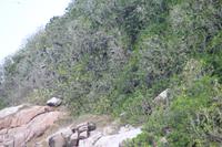 Bootsfahrt um Aride Island