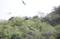 Bootsfahrt um Aride Island