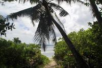 Fahrradtour auf La Digue