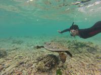 Schnorcheln am Strand vom Hotel 