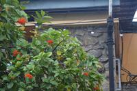 4 Stadtrundgang Viktoria