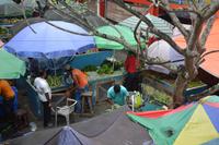 17 Markt in Viktoria