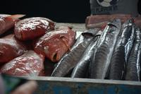 18 Fischmarkt gibt es auch