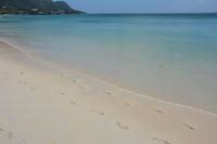 42 Strand am Hotel in Beau Vallon