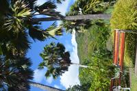 52 Botanischer Garten in Victoria