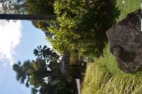 53 Botanischer Garten in Victoria