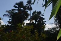 55 Botanischer Garten in Victoria