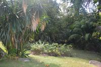 58 Botanischer Garten in Victoria