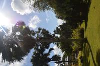 60 Botanischer Garten in Victoria