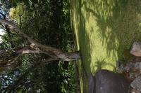 67 Botanischer Garten in Victoria