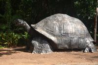 68 Schildkrötenstatue im Botanischen Garten