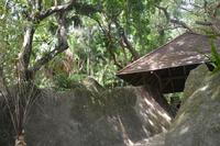 77 Botanischer Garten in Victoria