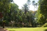 83 Nach den Schildkröten geht es weiter mit unserem Spaziergang