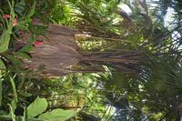 100 Botanischer Garten in Victoria