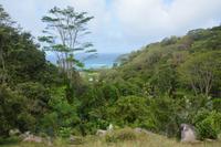 129 Spaziergang durch den Gewürzgarten