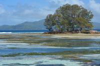 173 Korallenriffe vor La Digue