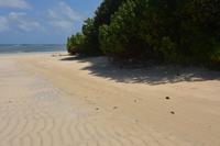 175 Weit und breit niemand