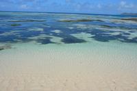 176 Strand auf La Digue