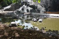 188 und nochmal Schildkröten