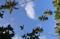 193 Inselspaziergang