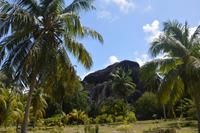 194 Spaziergang durch die grüne Insel