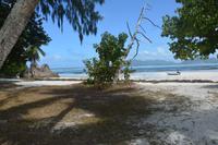 201 Der bekannteste Strand der Seychellen