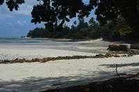 203 Anse Source d’Argent