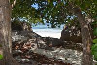 204 Anse Source d’Argent