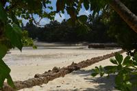 206 Anse Source d’Argent