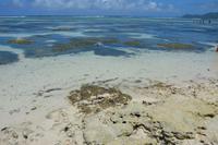 219 Anse Source d’Argent