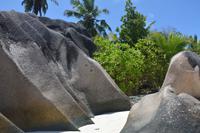 221 Anse Source d’Argent