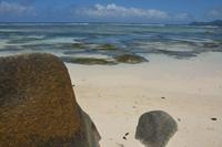 239 Anse Source d’Argent