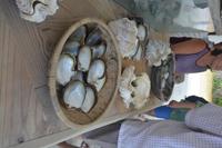 320 Perlenfarm auf Praslin