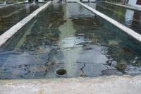 322 Perlenfarm auf Praslin