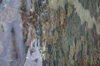 323 Perlenfarm auf Praslin