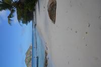 372 Baden auf Grand Seur