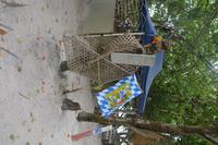 427  Spaziergang auf La Digue