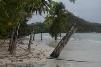 444 Cote d'ore Strand auf Praslin