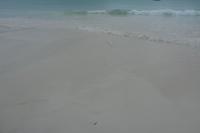 445 Cote d'ore Strand auf Praslin