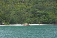449 Strand Georgette auf Praslin