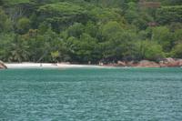 450 Strand Georgette auf Praslin