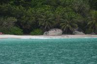 455 Strand Georgette auf Praslin
