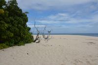 460 Strand auf Cousin