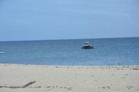 462 Strand auf Cousin