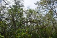 465 Spaziergang auf Cousin