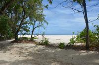 467 Spaziergang auf Cousin