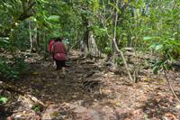 469 Spaziergang auf Cousin