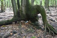 492 Spaziergang auf Cousin