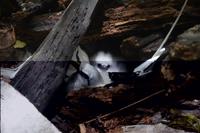 493 Spaziergang auf Cousin